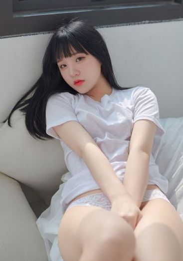 狮子赖猫的倒影电视剧