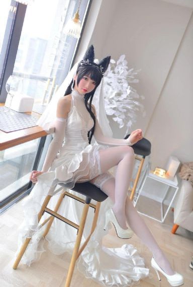 汪汪队免费看40集
