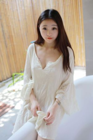 蔷薇风景电视剧免费观看全集